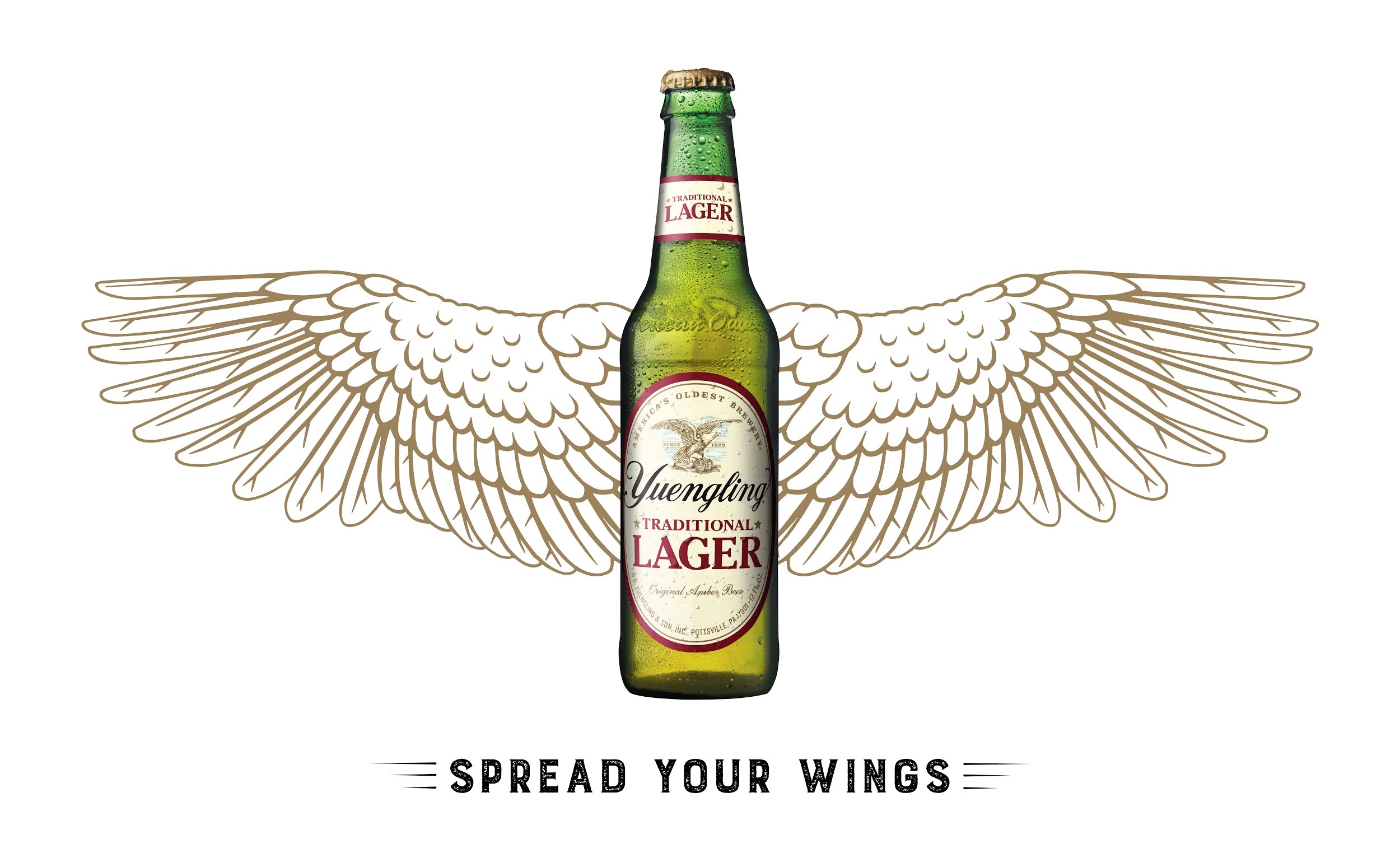 Yuengling Expands Distribution To Arkansas Yuengling   SYW Logo 